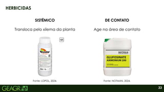 33
HERBICIDAS
SISTÊMICO DE CONTATO
Transloca pelo xilema da planta Age na área de contato
Fonte: LOPOL, 2024. Fonte: NOTMAN, 2024.
 