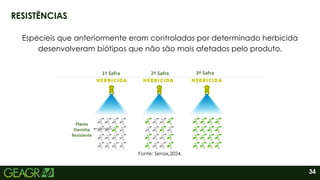 34
RESISTÊNCIAS
Espécieis que anteriormente eram controladas por determinado herbicida
desenvolveram biótipos que não são mais afetados pelo produto.
Fonte: Sensix,2024.
 
