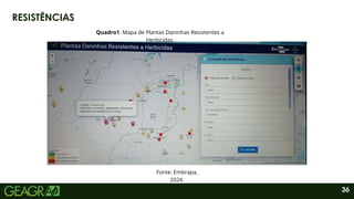 36
RESISTÊNCIAS
Quadro1. Mapa de Plantas Daninhas Resistentes a
Herbicidas.
Fonte: Embrapa,
2024.
 