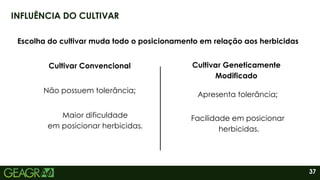 37
INFLUÊNCIA DO CULTIVAR
Escolha do cultivar muda todo o posicionamento em relação aos herbicidas
Cultivar Convencional Cultivar Geneticamente
Modificado
Não possuem tolerância;
Apresenta tolerância;
Maior dificuldade
em posicionar herbicidas.
Facilidade em posicionar
herbicidas.
 