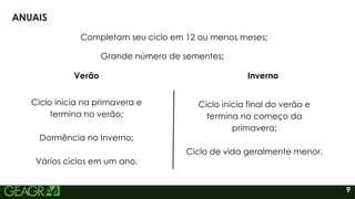 9
ANUAIS
Completam seu ciclo em 12 ou menos meses;
Grande número de sementes;
Verão Inverno
Ciclo inicia na primavera e
termina no verão;
Dormência no Inverno;
Vários ciclos em um ano.
Ciclo inicia final do verão e
termina no começo da
primavera;
Ciclo de vida geralmente menor.
 