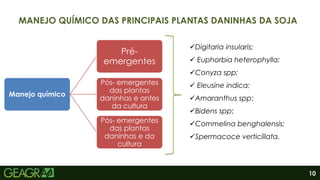 10
Manejo químico
Pré-
emergentes
Pós- emergentes
das plantas
daninhas e antes
da cultura
Pós- emergentes
das plantas
daninhas e da
cultura
Digitaria insularis;
 Euphorbia heterophylla;
Conyza spp;
 Eleusine indica;
Amaranthus spp;
Bidens spp;
Commelina benghalensis;
Spermacoce verticillata.
MANEJO QUÍMICO DAS PRINCIPAIS PLANTAS DANINHAS DA SOJA
 