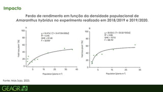 33
Impacto
Perda de rendimento em função da densidade populacional de
Amaranthus hybridus no experimento realizado em 2018/2019 e 2019/2020.
Fonte: Mais Soja, 2023.
 