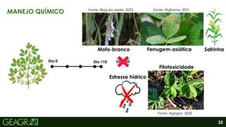 35
MANEJO QUÍMICO
Dia 0 Dia 150
Dia 110
Fonte: Blog da verde, 2023. Fonte: DigFarmz, 2021.
Fonte: Agrigeo, 2020.
Mofo-branco Ferrugem-asiática
Fitotoxicidade
Estresse hídrico
Safrinha
 