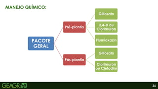 36
PACOTE
GERAL
Pré-plantio
Glifosato
2,4-D ou
Clorimuron
Flumioxazin
Pós-plantio
Glifosato
Clorimuron
ou Cletodim
MANEJO QUÍMICO:
 