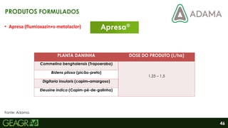 46
• Apresa (flumioxazin+s-metolaclor)
PRODUTOS FORMULADOS
PLANTA DANINHA DOSE DO PRODUTO (L/ha)
Commelina benghalensis (Trapoeraba)
1,25 – 1,5
Bidens pilosa (picão-preto)
Digitaria insularis (capim–amargoso)
Eleusine indica (Capim-pé-de-galinha)
Fonte: Adama.
 