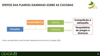 5
EFEITOS DAS PLANTAS DANINHAS SOBRE AS CULTURAS
Diretas
Indiretas
INTERFERÊNCIA
Pressões
Hospedeiras
de pragas e
doenças
Competição e
alelopatia
Fonte: Leonardo Bianco de Carvalho; elaborado por Francisco Cavaglia, 2023.
 