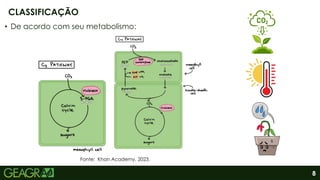 8
• De acordo com seu metabolismo:
Fonte: Khan Academy, 2023.
CLASSIFICAÇÃO
 