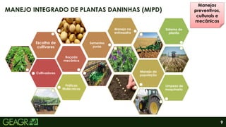 9
MANEJO INTEGRADO DE PLANTAS DANINHAS (MIPD)
Cultivadores
Roçada
mecânica
Escolha de
cultivares
Sementes
puras
Manejo na
entressafra
Manejo da
população
Práticas
fitotécnicas
Limpeza de
maquinaria
Sistema de
plantio
Manejos
preventivos,
culturais e
mecânicos
 
