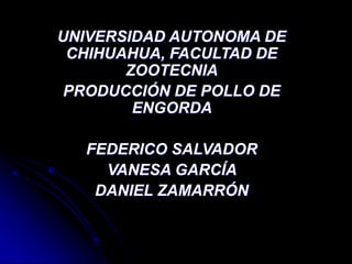 UNIVERSIDAD AUTONOMA DE
CHIHUAHUA, FACULTAD DE
ZOOTECNIA
PRODUCCIÓN DE POLLO DE
ENGORDA
FEDERICO SALVADOR
VANESA GARCÍA
DANIEL ZAMARRÓN
 