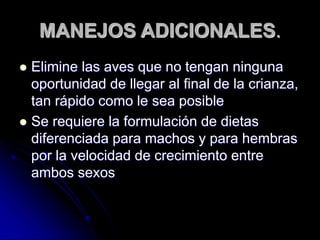 MANEJOS ADICIONALES.
 Elimine las aves que no tengan ninguna
oportunidad de llegar al final de la crianza,
tan rápido como le sea posible
 Se requiere la formulación de dietas
diferenciada para machos y para hembras
por la velocidad de crecimiento entre
ambos sexos
 
