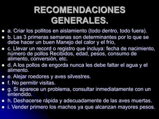 RECOMENDACIONES
GENERALES.
 a. Criar los pollitos en aislamiento (todo dentro, todo fuera).
 b. Las 3 primeras semanas son determinantes por lo que se
debe hacer un buen Manejo del calor y el frío,
 c. Llevar un record o registro que incluya: fecha de nacimiento,
número de pollos Recibidos, edad, pesos, consumo de
alimento, conversión, etc.
 d. A los pollos de engorda nunca les debe faltar el agua y el
alimento.
 e. Alejar roedores y aves silvestres.
 f. No permitir visitas.
 g. Si aparece un problema, consultar inmediatamente con un
entendido.
 h. Deshacerse rápida y adecuadamente de las aves muertas.
 i. Vender primero los machos ya que alcanzan mayores pesos.
 