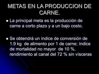 METAS EN LA PRODUCCION DE
CARNE.
 La principal meta es la producción de
carne a corto plazo y a un bajo costo.
 Se obtendrá un índice de conversión de
1.9 kg de alimento por 1 de carne; índice
de mortalidad no mayor de 10 %,
rendimiento al canal del 72 % sin vísceras
 