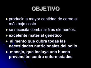 OBJETIVO
 producir la mayor cantidad de carne al
más bajo costo
 se necesita combinar tres elementos:
 excelente material genético
 alimento que cubra todas las
necesidades nutricionales del pollo.
 manejo, que incluya una buena
prevención contra enfermedades
 