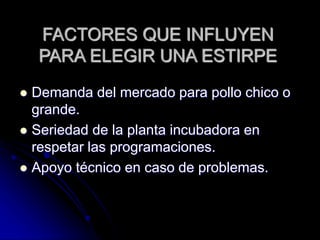 FACTORES QUE INFLUYEN
PARA ELEGIR UNA ESTIRPE
 Demanda del mercado para pollo chico o
grande.
 Seriedad de la planta incubadora en
respetar las programaciones.
 Apoyo técnico en caso de problemas.
 