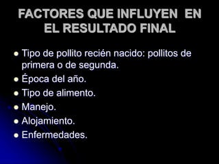 FACTORES QUE INFLUYEN EN
EL RESULTADO FINAL
 Tipo de pollito recién nacido: pollitos de
primera o de segunda.
 Época del año.
 Tipo de alimento.
 Manejo.
 Alojamiento.
 Enfermedades.
 