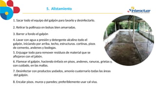 5. Alistamiento
1. Sacar todo el equipo del galpón para lavarlo y desinfectarlo.
2. Retirar la pollinaza en bolsas bien amarradas.
3. Barrer a fondo el galpón
4. Lavar con agua a presión y detergente alcalino todo el
galpón, iniciando por arriba, techo, estructuras. cortinas, pisos
de cemento, andenes y bodegas.
5. Enjuagar todo para remover residuos de material que se
aflojaron con el jabón.
6. Flamear el galpón, haciendo énfasis en pisos, andenes, ranuras, grietas y,
con cuidado, en las mallas.
7. Desinfectar con productos yodados, amonio cuaternario todas las áreas
del galpón.
8. Encalar pisos. muros y paredes; preferiblemente usar cal viva.
 