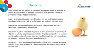 Área de cría
Arme círculos con seis láminas de 2,5 metros de largo por 60 cm de alto, más o
menos de cinco metros de diámetro cada círculo, así la densidad será de 55
pollitos x metro cuadrado el primer día.
Separe la zona de círculos del resto del galpón con una cortina atravesada de
pared a pared, y con otra a lo largo, formando una recámara interna o túnel.
Maneje adecuadamente el sistema de cortinas, para posibilitar la correcta
ventilación y no exceder la temperatura .
Precaliente el galpón antes de la llegada de las aves, prendiendo las criadoras; el
objetivo es calentar las camas como mínimo a 27 grados centígrados y el ambiente
con 32 grados centígrados, clave para que el pollito se caliente, entre más rápido
en actividad y consuma alimento y agua rápidamente.
Ambientes y camas demasiado frías causarán onfalitis, bajos pesos en la primera
semana, mayor mortalidad inicial y terminal y menor rendimiento productivo al
final del ciclo.
 