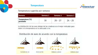 Temperatura
 