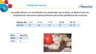 Manejo del espacio
Edad por días 1 - 3 4 – 6 7 - 9 10 -12 13 - 14
Aves/M2 55 40 25 15 10 - 12
Los pollos tienen un crecimiento muy acelerado, por lo tanto, se deben hacer las
ampliaciones necesarias oportunamente para evitar problemas de consumo
 