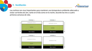 9. Ventilación
Las cortinas son muy importantes para mantener una temperatura ambiente adecuada y
evitar corrientes de aire, tanto en el día como en la noche, durante las tres o cuatro
primeras semanas de vida.
 