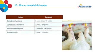 10. Altura y densidad del equipo
 