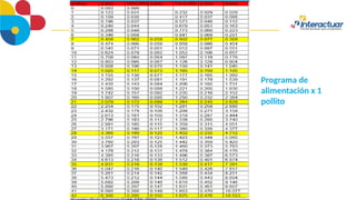 Programa de
alimentación x 1
pollito
 