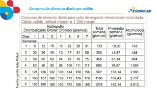 Consumo de alimento diario por pollito
 
