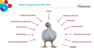 Pollos de Engorde: Invertir o No?
Costos
 