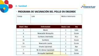 2. Sanidad
 