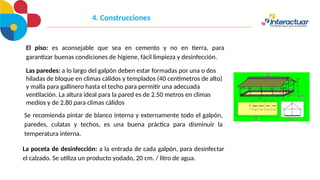El piso: es aconsejable que sea en cemento y no en tierra, para
garantizar buenas condiciones de higiene, fácil limpieza y desinfección.
.
4. Construcciones
Las paredes: a lo largo del galpón deben estar formadas por una o dos
hiladas de bloque en climas cálidos y templados (40 centímetros de alto)
y malla para gallinero hasta el techo para permitir una adecuada
ventilación. La altura ideal para la pared es de 2.50 metros en climas
medios y de 2.80 para climas cálidos
Se recomienda pintar de blanco interna y externamente todo el galpón,
paredes, culatas y techos, es una buena práctica para disminuir la
temperatura interna.
La poceta de desinfección: a la entrada de cada galpón, para desinfectar
el calzado. Se utiliza un producto yodado, 20 cm. / litro de agua.
 