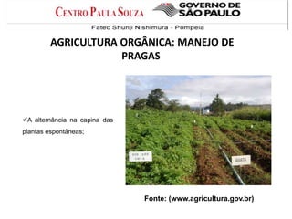 A alternância na capina das
plantas espontâneas;
Fonte: (www.agricultura.gov.br)
AGRICULTURA ORGÂNICA: MANEJO DE
PRAGAS
 