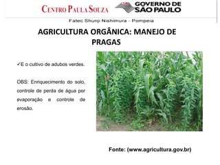 E o cultivo de adubos verdes.
OBS: Enriquecimento do solo,
controle de perda de água por
evaporação e controle de
erosão.
Fonte: (www.agricultura.gov.br)
AGRICULTURA ORGÂNICA: MANEJO DE
PRAGAS
 