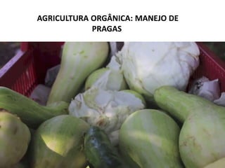AGRICULTURA ORGÂNICA: MANEJO DE
PRAGAS
 