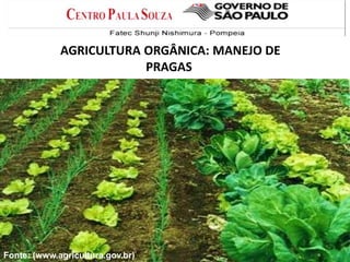 AGRICULTURA ORGÂNICA: MANEJO DE
PRAGAS
Fonte: (www.agricultura.gov.br)
 