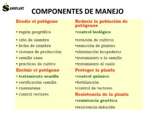 COMPONENTES DE MANEJO
 