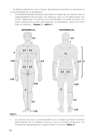 Se deberá determinar con la mayor aproximación posible la extensión y
la profundidad de la quemadura.
La extensión puede evaluarse aplicando la regla de los nueves, que es
aceptablemente eficaz para los adultos, pero no es exacta para los
niños. Empleando la gráfica de Lund-Browder se puede evaluar con
mayor exactitud el área afectada por la quemadura, tanto en niños
como en adultos, (figura 1 y tabla 1).
ANTERIOR (%)

POSTERIOR (%)

3,5

3,5
1

1

4,5

4,5

2

13

1,25

4,5
4,5

4,5

9

4,5
2,5

2,5

1
1,25
4,25

4,25
9

9

3,5

1,25

3,5

1,25

Figura 1.

-

18

La valoración de la profundidad no es siempre posible hacerla
exactamente en el examen inicial, pero se puede conseguir una
estimación aproximada por algunos datos clínicos (tabla 2).

 