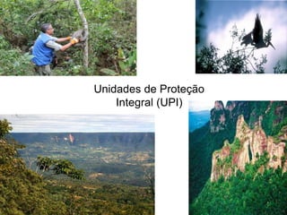 Unidades de Proteção
Integral (UPI)
 