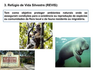 3. Refúgio de Vida Silvestre (REVIS):
Tem como objetivo proteger ambientes naturais onde se
asseguram condições para a existência ou reprodução de espécies
ou comunidades da flora local e da fauna residente ou migratória.
 