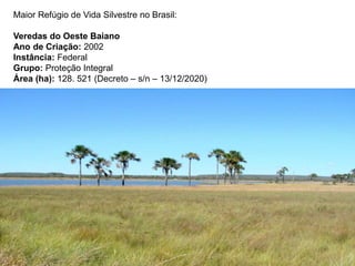 Maior Refúgio de Vida Silvestre no Brasil:
Veredas do Oeste Baiano
Ano de Criação: 2002
Instância: Federal
Grupo: Proteção Integral
Área (ha): 128. 521 (Decreto – s/n – 13/12/2020)
 