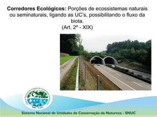 Corredores Ecológicos: Porções de ecossistemas naturais
ou seminaturais, ligando as UC’s, possibilitando o fluxo da
biota.
(Art. 2º - XIX)
 