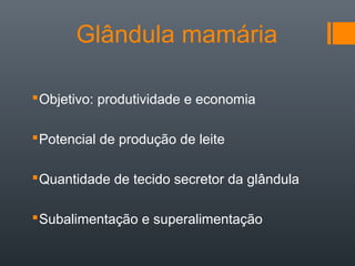 Glândula mamária
Objetivo: produtividade e economia
Potencial de produção de leite
Quantidade de tecido secretor da glândula
Subalimentação e superalimentação
 