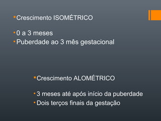Crescimento ISOMÉTRICO
•0 a 3 meses
•Puberdade ao 3 mês gestacional
Crescimento ALOMÉTRICO
• 3 meses até após início da puberdade
• Dois terços finais da gestação
 