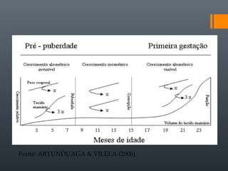 Fonte: ARTUNDUAGA & VILELA (2006)
 