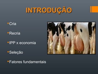INTRODUÇÃOINTRODUÇÃO
Cria
Recria
IPP x economia
Seleção
Fatores fundamentais
 