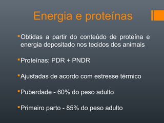 Energia e proteínas
Obtidas a partir do conteúdo de proteína e
energia depositado nos tecidos dos animais
Proteínas: PDR + PNDR
Ajustadas de acordo com estresse térmico
Puberdade - 60% do peso adulto
Primeiro parto - 85% do peso adulto
 