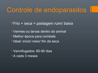 Controle de endoparasitos
Frio + seca = pastagem ruim/ baixa
• Vermes ou larvas dentro do animal
• Melhor época para combate
• Ideal: início/ meio/ fim da seca
• Vermifugados: 60-90 dias
• A cada 3 meses
 
