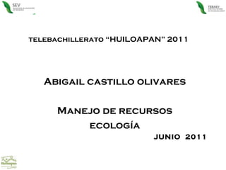 telebachillerato “HUILOAPAN” 2011 Abigail castillo olivares Manejo de recursos ecología JUNIO  2011  