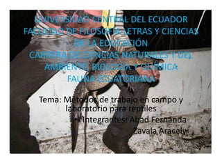 Tema: Métodos de trabajo en campo y
laboratorio para reptiles
Integrantes: Abad Fernanda
Zavala Aracely
UNIVERSIDAD CENTRAL DEL ECUADOR
FACULTAD DE FILOSOFÍA LETRAS Y CIENCIAS
DE LA EDUCACIÓN
CARRERA DE CIENCIAS NATURALES Y DEL
AMBIENTE, BIOLOGÍA Y QUÍMICA
FAUNA ECUATORIANA
 