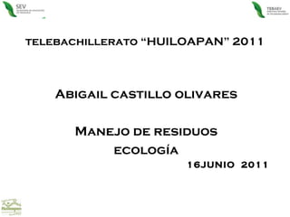 telebachillerato “HUILOAPAN” 2011 Abigail castillo olivares Manejo de residuos ecología 16JUNIO  2011  
